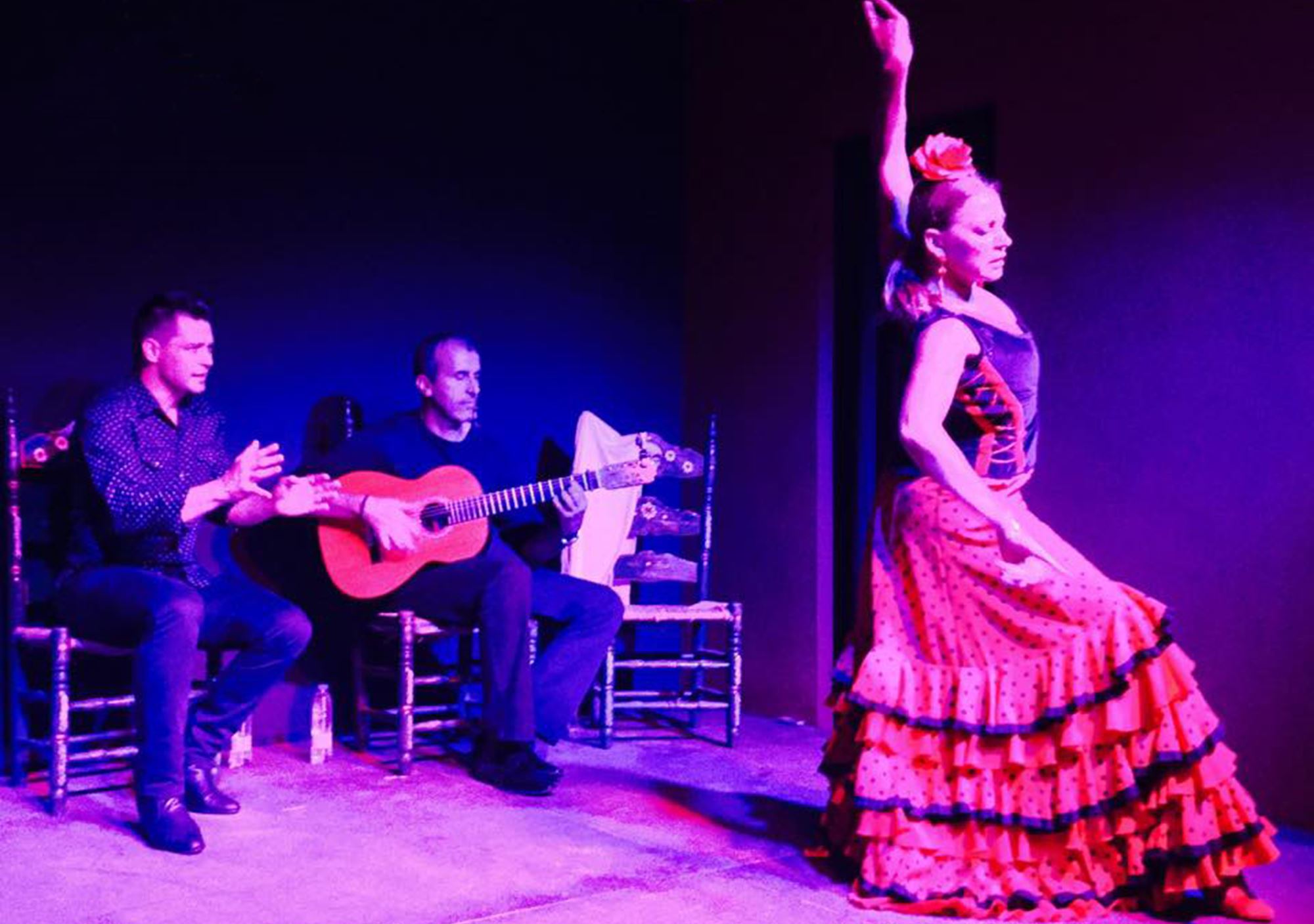 Show at Tablao Flamenco Felahmengu II in Huelva book booking tickets drink dinner